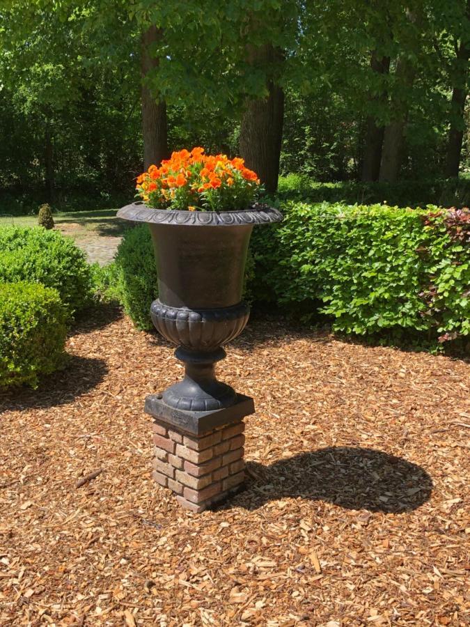 Sloapmuts Bed and Breakfast Oud-Ootmarsum Buitenkant foto